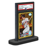 Ultra Pro - Graded Card Stand PSA (10 Stk.)